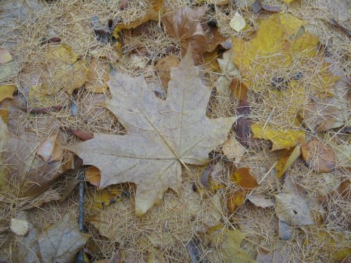 2014_10.12_08_29_38.JPG