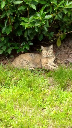 IMG_20170729_162012226_HDR.jpg