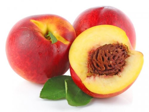 nectarines-1020x765.jpg