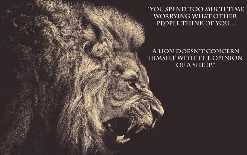 35584_qutote_motivational.jpg