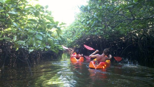 kayaking.thumb.jpg.f5b5728206e76277f2e94d7c61c1c094.jpg