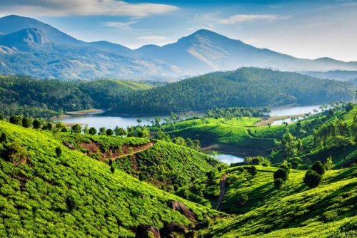 munnar.jpg