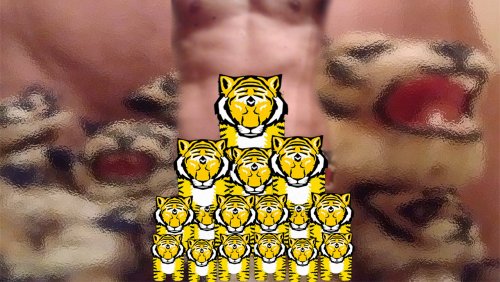 Tiger Garys - Bojana.jpg