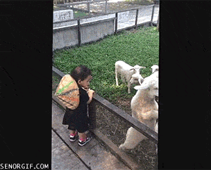 848f6b10681eb3a55db532be845c7b41.gif.baa8565ea76a01224011710b007d6d3c.gif