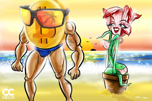 Tulipan_and_BTC.jpg