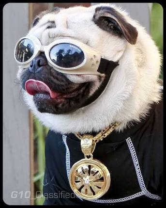 images.jpeg.24197681a02953b3fe20b1cd58e8f65e.jpeg