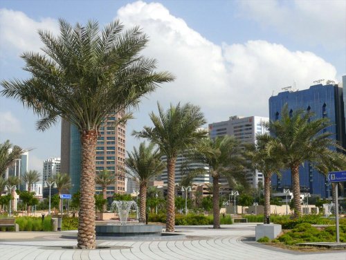 Abu_Dhabi_on_27_December_2007_Pict_13.jpg