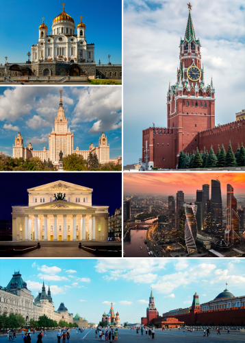 MSK_Collage_2015.png