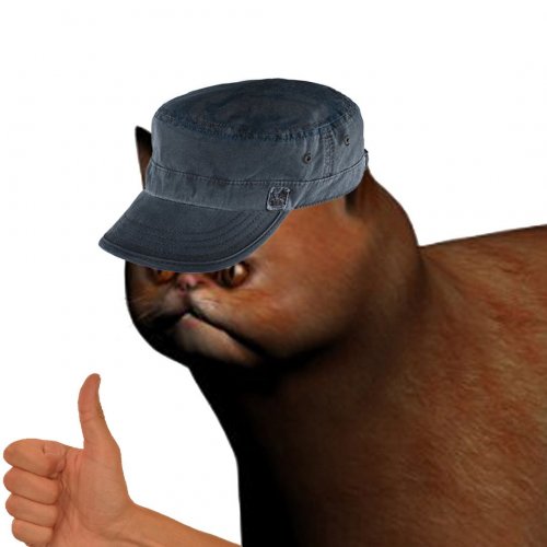 yqA85UrHr0c.jpg