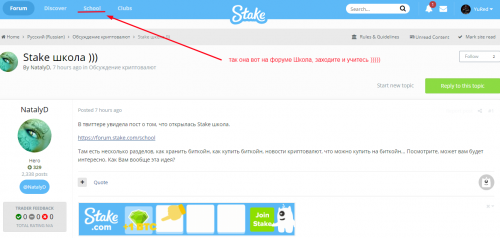 Stake Shcool.png