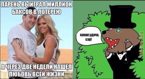 image.thumb.png.f2161e0d3eddf9f90f83f796c57985fa.png