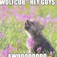 Wolfcub