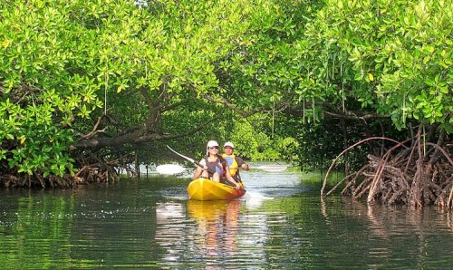 kayaking.thumb.jpg.5b870babdc26488378dd6cad05cfb219.jpg