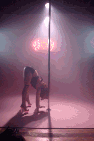 giphy.gif