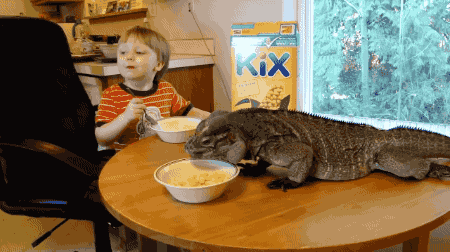 giphy.thumb.gif.c8eebe784cfc2b2243089e79bcb0fe30.gif