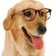 reynaldog