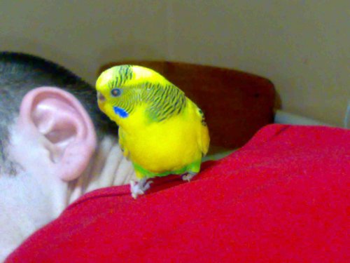 10122008510.thumb.jpg.9ec9afed32bc40b125498e3b67930e54.jpg