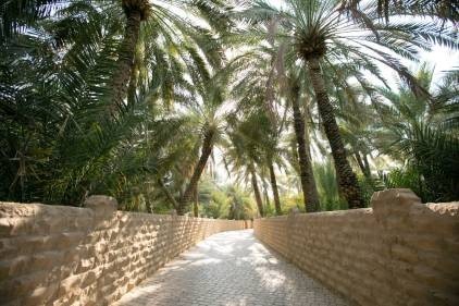 Weekends at the Al Ain Oasis.jpg