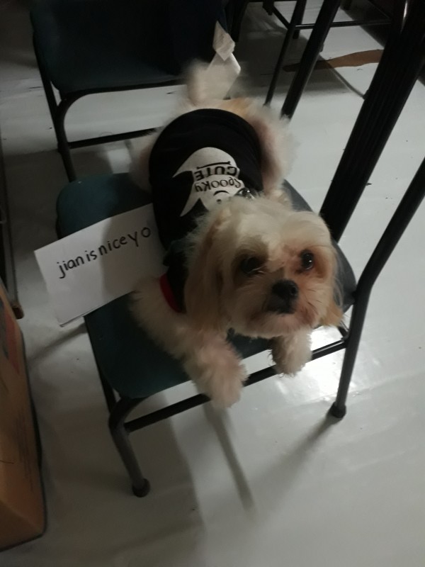 20181024_111219.jpg
