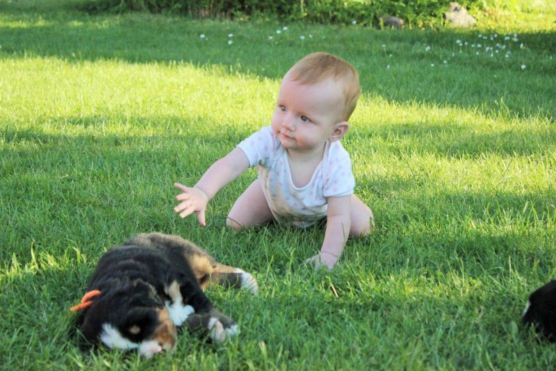 photo_2018-06-06_11-01-01.thumb.jpg.a0990d86b71c6da6cc0b9e7e15e3622e.jpg