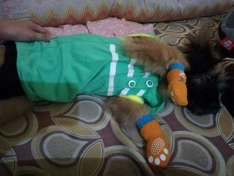 received_569879246759750.jpeg