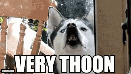 tenor.gif