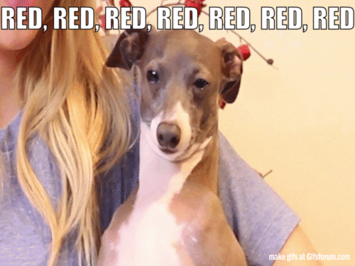 400151756_ezgif.com-add-text(1).gif.3abb17c74a3601bf72a9194a8b09397e.gif