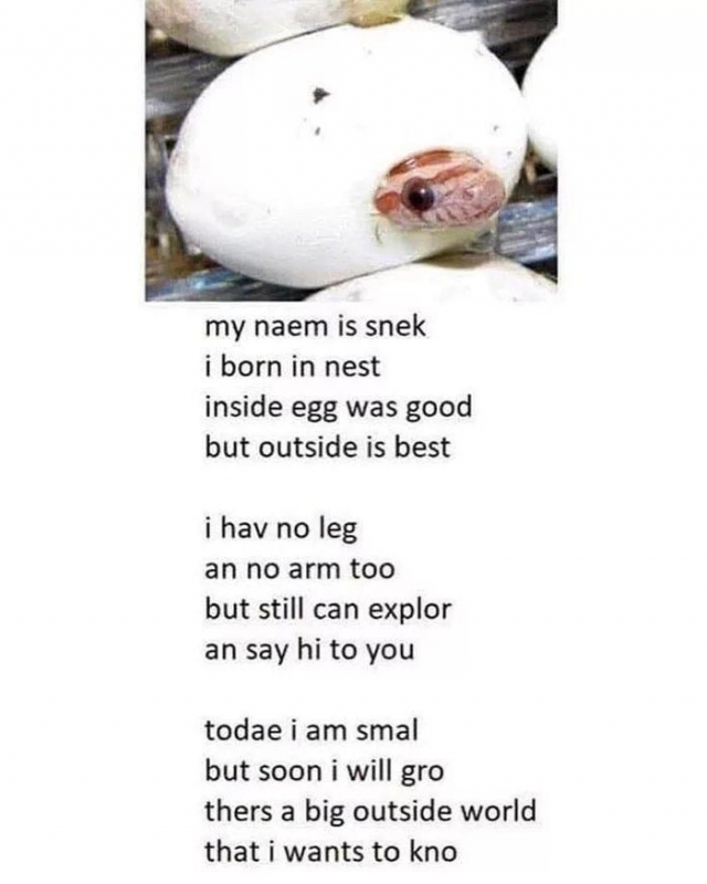 B39615BA-5C64-4AE7-B9DD-57C2906808DA.thumb.jpeg.f9f6d1d99b09edd110c4cd7abbfc6086.jpeg