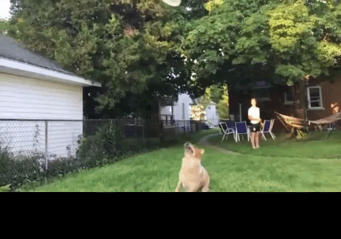 failedtofetch.gif