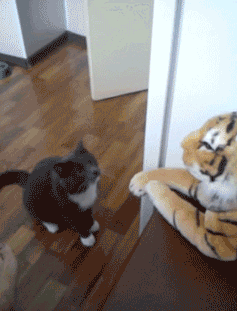 it's_me_and_I_lost_my_deposit,_again.gif.f4cf1987244038c358547cc81ba52aca.gif