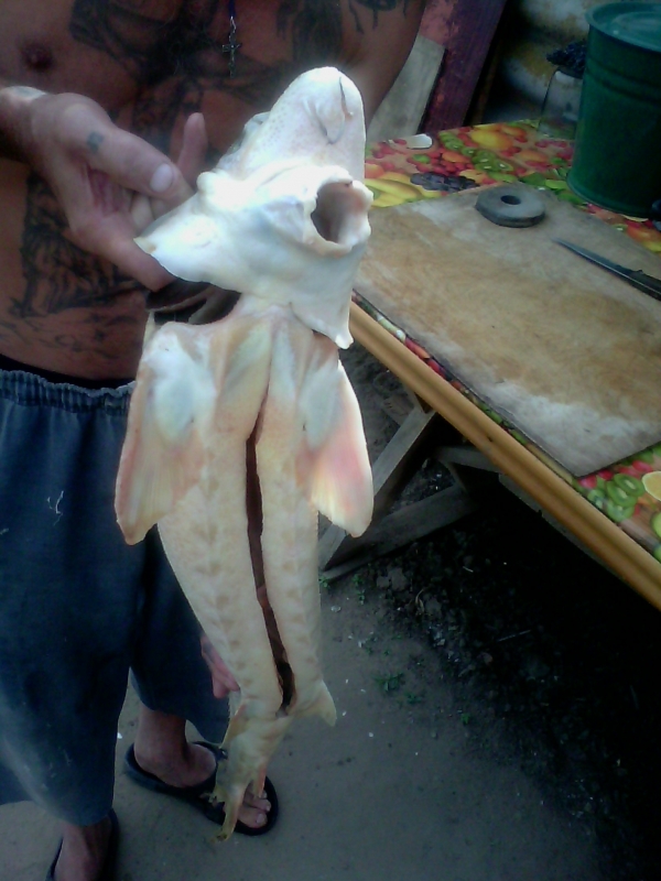 IMG00033.jpg