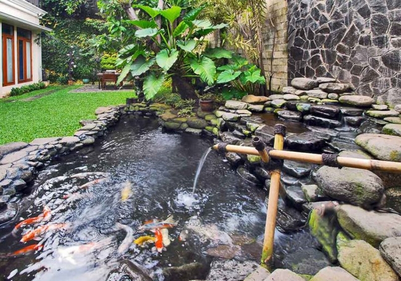 Kolam-Ikan-RumahHokie.com-istimewa-pinterest.thumb.jpg.a38339135548fb249d09bba562b6fbb0.jpg