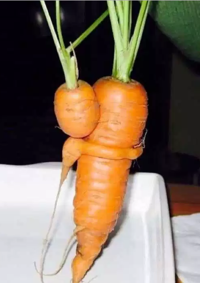 image.png.d00289ac6f9335dccdd9bdfe7d0b1d53.png