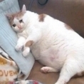 Oldbear226232