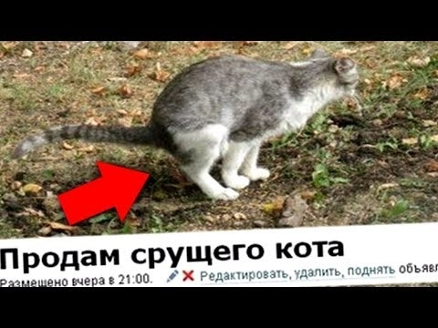 image.png.42751a3ae4ef7494d2ab6e382ba65ac3.png