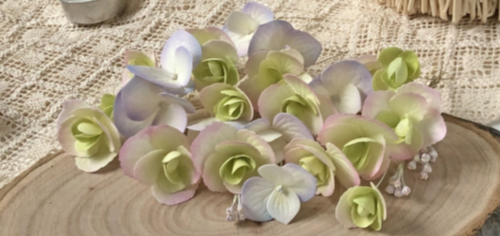 image.png.939b39f8e1cd30d7f3a3dc14043e9f21.png