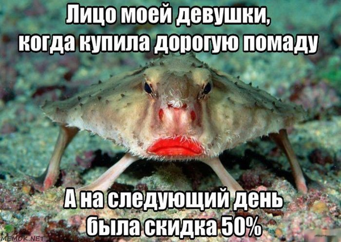 image.png.f958df06970fdee6a40a21539a1d86cc.png