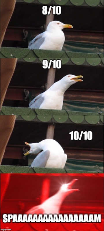 MEME.jpg