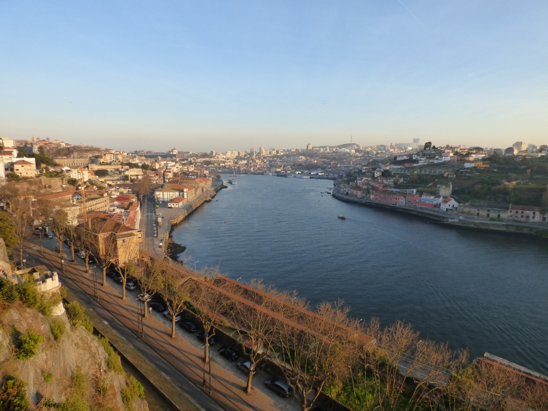 P1050334.JPG