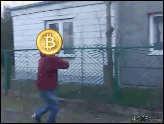 doge.gif