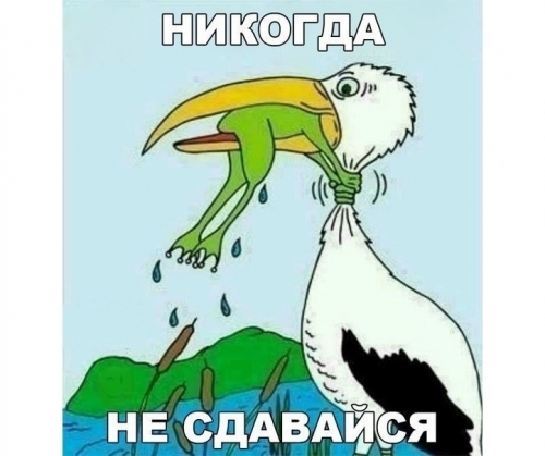 3MvLIyPkWXE.jpg