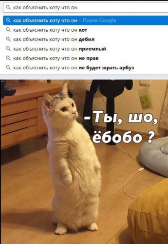 87565045cb10344b38faf19d743d42d4.thumb.jpg.b127994f65099ae49843bb8849ae551e.jpg