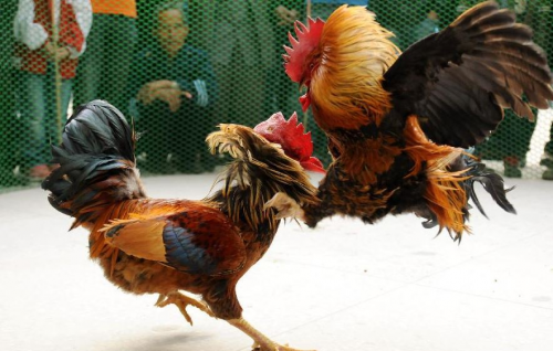 image.thumb.png.e7e7d831bf5b8242d393afe04b2e8abf.png