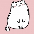 Catjz23