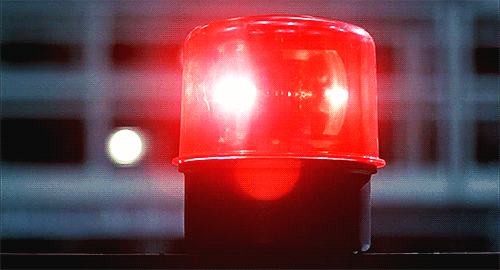 rs_500x270-150901131743-tumblr_mec2wvftdb1r4sbplo1_500.thumb.gif.9f40a3a7eaf157e1e48cb47be8060e98.gif