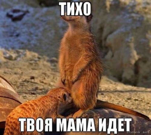 1349559918_ste5.thumb.jpg.0622c8fc56b2d6538cf511da6e4912d0.jpg