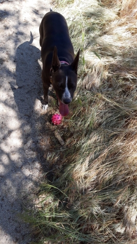 IMG-20190530-WA0000.thumb.jpg.7866c70fe912864936065cfe457d7fd8.jpg