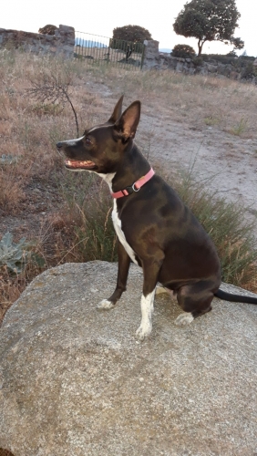 IMG-20190614-WA0079.thumb.jpg.1d25e439aa83d0eed43ca8ea7761818f.jpg