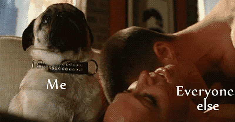 gif.gif