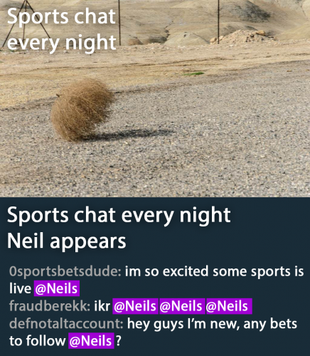 pp.png
